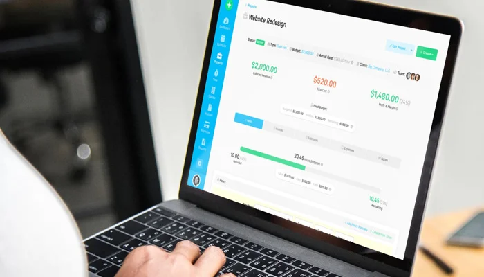 Harpoon project details screen showing budget tracking, hours logged, and financial breakdown