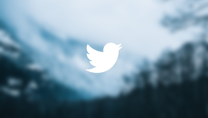 Developing a Twitter Marketing Strategy - Harpoon Blog