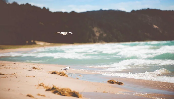 How to Stay Motivated When Freelance Business Is Slow